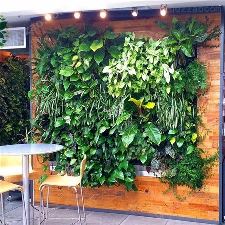 武汉植物墙定制 仿真植物墙制作安装  仿真植物墙厂家 武汉植物墙公司