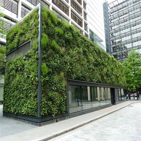 通用型武汉植物墙价格 室内绿植墙价格 假植物垂直墙设计 仿真植物墙 武汉植物墙厂家