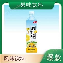 柠檬水蜜桃果味饮料500ml夏季饮品添加进口蜂蜜
