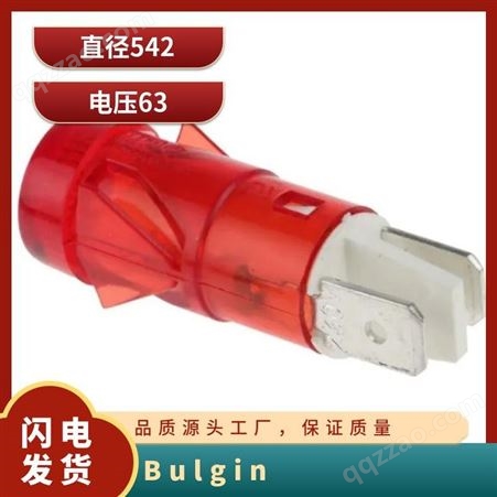 Bulgin DX1091/GN C287 63 否 红色氖灯面板指示灯 54