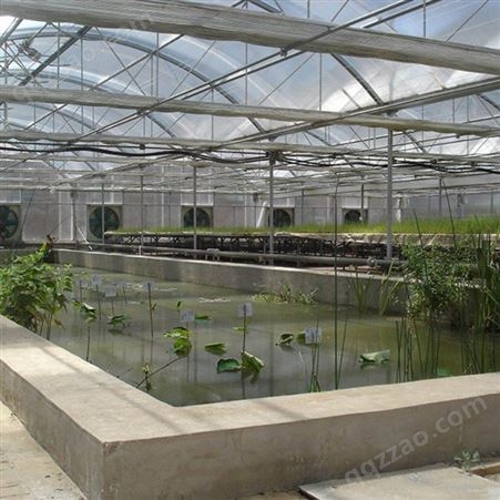 聚丰 生态园大棚种植大棚 蔬菜温室大棚种植大棚安装