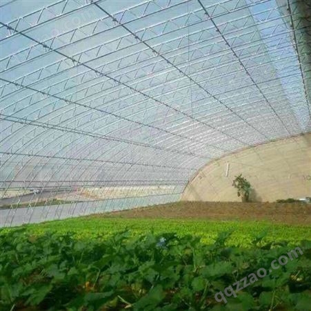 生态园大棚蔬菜种植大棚安装 阳光棚蔬菜种植大棚设计