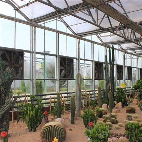 生态园大棚蔬菜种植大棚安装 阳光棚蔬菜种植大棚设计