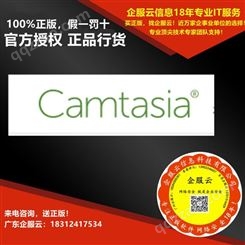 Camtasia 专业屏幕录像编辑声音软件 正版使用