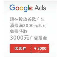 Google ads谷歌广告推广|视频广告|网站广告推广