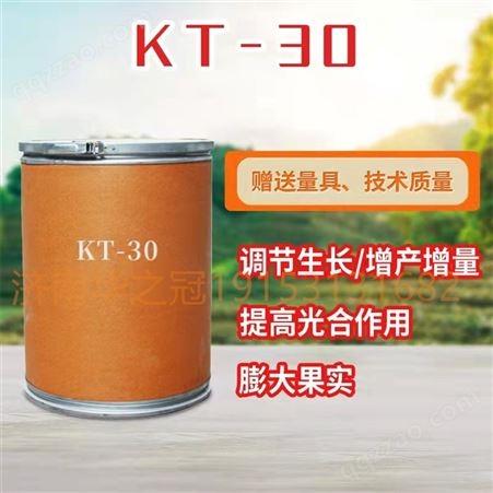 氯吡脲KT-30 含量99% 细胞分裂素果实膨大增产剂植物生长调节剂