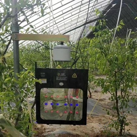 香瓜甜瓜蔬菜专用激光植物补光灯-红皎阳激光植物灯
