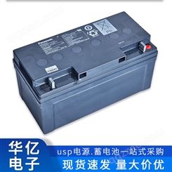 日本松下蓄电池 UPS不间断电源EPS铅酸电池组免维护电池机柜定制