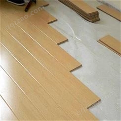 胜滨体育制作 舞蹈学院 龙骨式 木塑地板 表面光滑