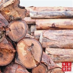 尤加利原木 家具工艺品木材 厂家直供可代加工