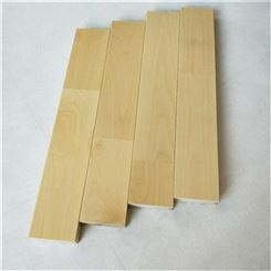 胜滨体育定制 舞蹈学院 龙骨式 木塑地板 装饰效果好