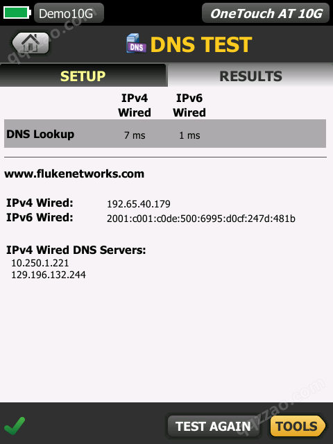 福禄克FLUKE DHCP   1T10G-1000  DNS测试界面