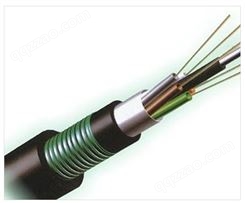 8芯24芯室外光缆铠装层绞式单模光纤GYTA53-8B光缆线双铠双护套