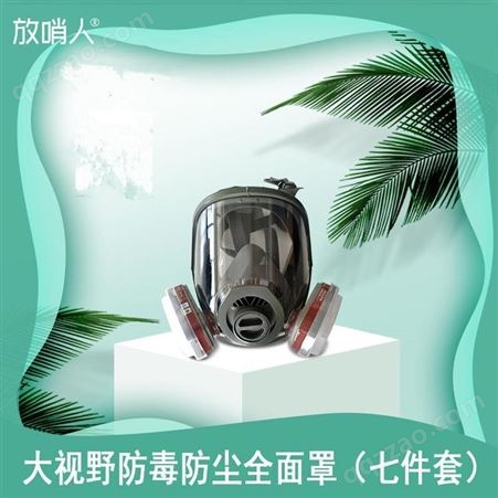 放哨人  FSR0421 大视野防毒全面具 防毒面具    全面型呼吸器    全面型呼吸防护器