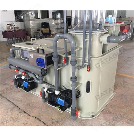 崇睿技术小型集成式循环水养殖过滤系统高密度标苗循环水处理设备
