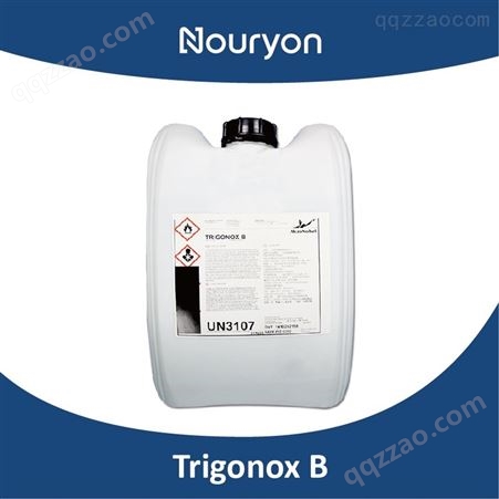 诺力昂 Trigonox B 过氧化二叔丁基 DTBP 交联剂 硫化剂
